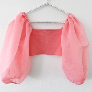 ZARA Organza Sleeve Top